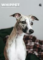 Whippet A3 Kalender 2026