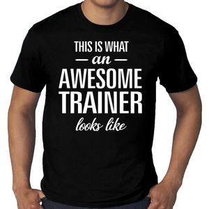 Grote Maten Awesome / geweldige trainer t-shirt voor heren zwart