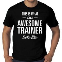 Grote Maten Awesome / geweldige trainer t-shirt voor heren zwart