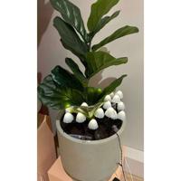 Decoratieve verlichting voor planten Lumineo 491762 Wit Mini Paddestoel (20 Stuks)