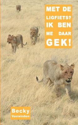 Reisverhaal Met de ligfiets? Ik ben me daar gek! | Becky Voorwinden