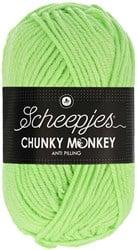 Scheepjes Chunky Monkey 1316 Pistachio