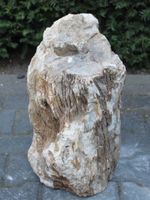 Versteend hout MA-10, 42 cm