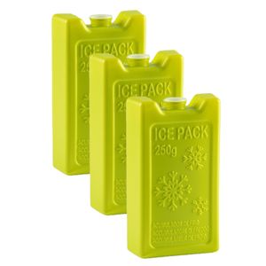 6x stuks 250 grams koelelementen 13 x 7.5 cm groen