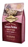 CARNILOVE SALMON / TURKEY KITTENS