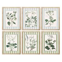 Schilderij Home ESPRIT Wit Groen Shabby Chic Botanische planten 30 x 2,5 x 40 cm (6 Stuks) Schilderij Home ESPRIT Wit Groen Shabby Chic Botanische planten 30 x 2,5 x 40 cm (6 Stuks)
