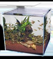 Superfish QubiQ 60 Pro wit