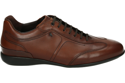 Van Bommel Senna 01.07-DarkCognac-H - alle