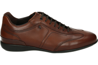 Van Bommel Senna 01.07-DarkCognac-H - alle Van Bommel Senna 01.07-DarkCognac-H - alle