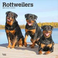 Rottweiler Kalender 2026