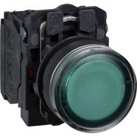 Schneider Electric XB5AW3365 XB5AW3365 Verlichte druktoets 600 V 6 A Moment (l x b x h) 54 x 30 x 42 mm IP66, IP67, IP69, IP69K 1 stuk(s)