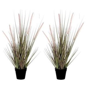 Mica Decorations Kunstplant Dogtail siergras - 2x - 54 cm - in zwarte pot
