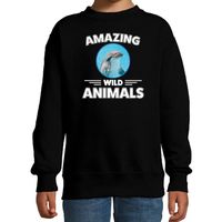 Sweater dolfijnen amazing wild animals / dieren trui zwart voor kinderen