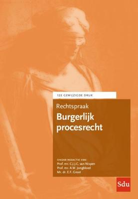 Rechtspraak Burgerlijk procesrecht (Paperback)