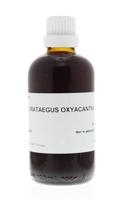 Homeoden Heel Crataegus oxyacantha phyto 100 Milliliter