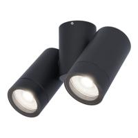 Silva LED plafondlamp - Kantelbaar - 2x 5 Watt 400 lumen - 6000K daglicht wit - IP65 waterdicht - Plafondspot - Binnen en buitengebruik - Zwart