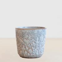 Palma Blauw - P12 Palma Blauw - P12