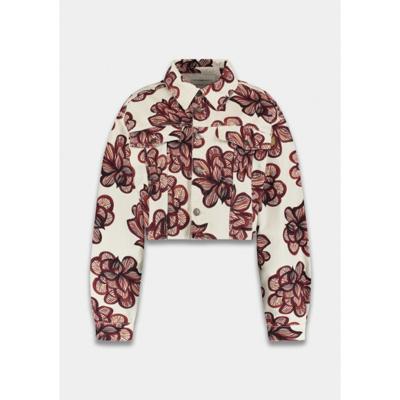 Harper & Yve - Wit | Dames | Jasje | Wit | XXL | regular | Kamst mode