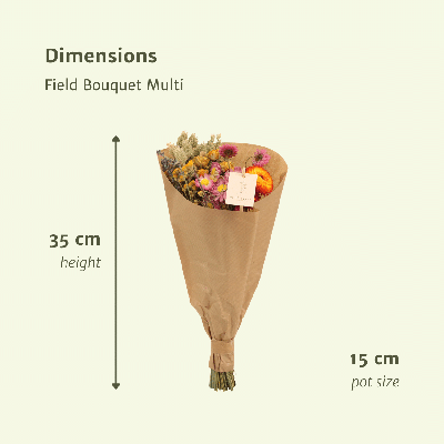 Droogbloemen Field Bouquet Multi - Ø15cm - ↕35cm