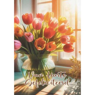Wenskaarten Gefeliciteerd pak a 10 stuks