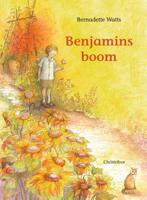 Benjamins boom (Hardback)