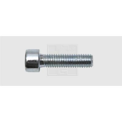 SWG 4009146067744 Inbusschroeven 8 mm 12 mm Binnenzeskant (inbus) Staal Verzinkt 50 stuk(s)