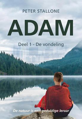 De vondeling (Paperback)