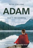 De vondeling (Paperback)