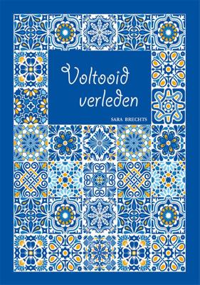 Voltooid verleden (Paperback)