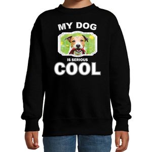 Jack russel honden trui / sweater my dog is serious cool zwart voor kinderen