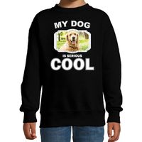 Golden retriever honden trui / sweater my dog is serious cool zwart voor kinderen