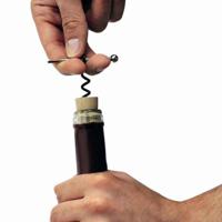 Flesopener buiten mini EDC kurk schroef rode wijnfles Opener sleutelhanger multi-functionele Camping Survival Equipment tool