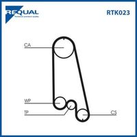 Requal Distributieriem kit RTK023 - thumbnail