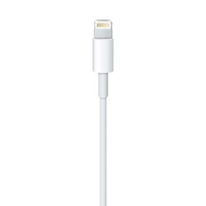 Apple Apple iPad/iPhone/iPod Aansluitkabel [1x USB-A 2.0 stekker - 1x Apple dock-stekker Lightning] 0.50 m Wit