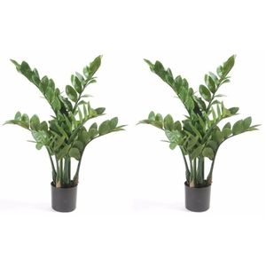 2x Groene Zamioculcus kunstplant 70 cm