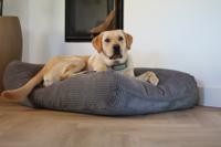 Dog's Companion® Hondenbed muisgrijs giant ribcord extra small