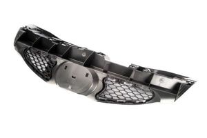 Radiateurgrille 6502078101990P