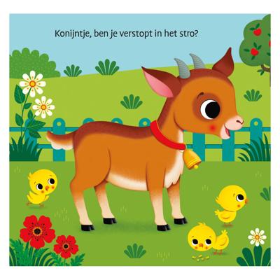 Deltas Waar is het konijntje? flapjesboek