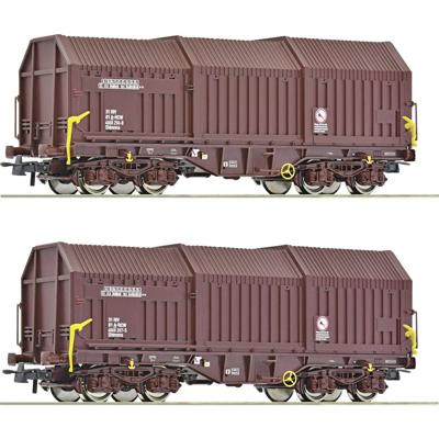 Roco 6600132 H0 2-delige set telescoopduimwagens van de ÖBB