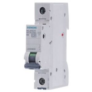 5SL6102-6  - Miniature circuit breaker 1-p B2A 5SL6102-6