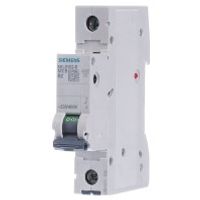 5SL6102-6  - Miniature circuit breaker 1-p B2A 5SL6102-6