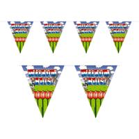 Vlaggenlijn welkom thuis - 10 meter - plastic - binnen/buiten - versiering -feestartikelen