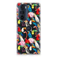 Motorola Edge 30 Pro TPU Hoesje Birds