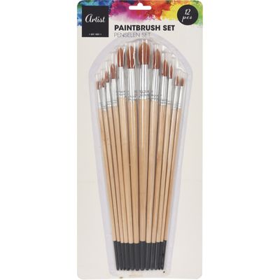 Hobby schilderen penselen set van 12x stuks