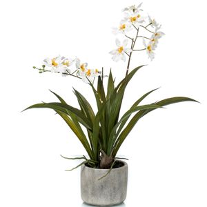 Witte orchidee Orchidaceae kunstplant in keramische pot 45 cm   -