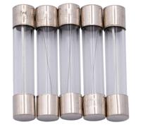 Dresselhaus Glass fuses 6x32mm 10a f. american fahrz. Dresselhaus Glass fuses 6x32mm 10a f. american fahrz.