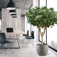 Vijgen Kunstboom Deluxe 250cm N