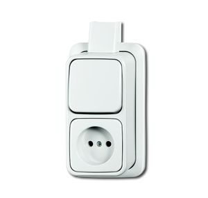 Schakelaar met stopcontact opbouw wit 2601 6 2300 APJW combinatie BJ