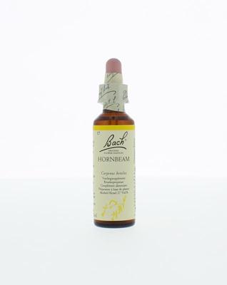 Bach Hornbeam/haagbeuk