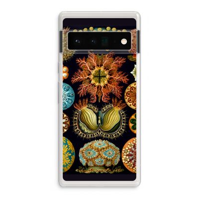Haeckel Ascidiae: Google Pixel 6 Pro Transparant Hoesje